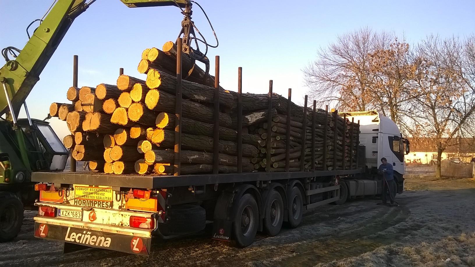 Transport und Spedition Transport und Spedition