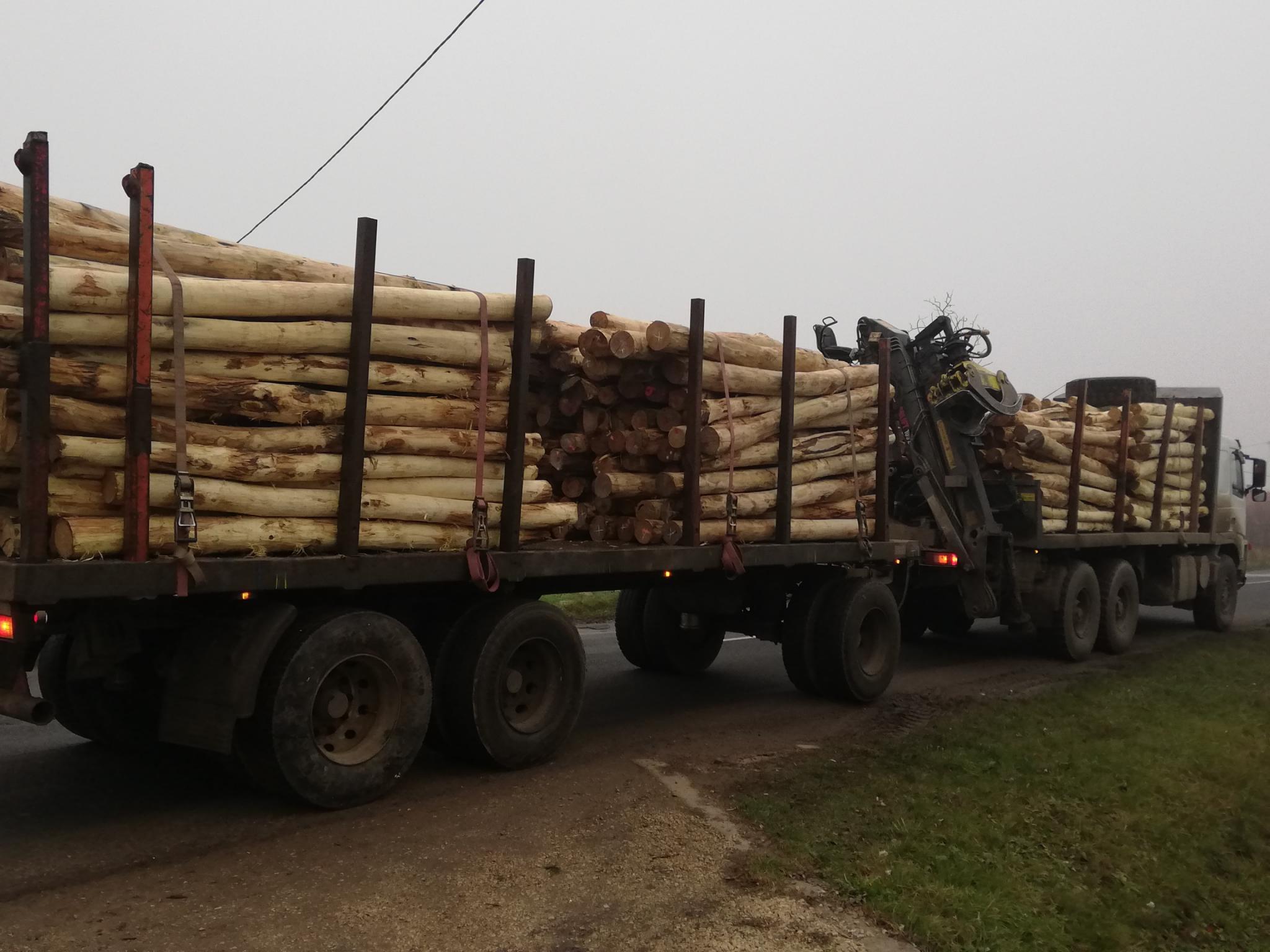 Transport und Spedition Transport und Spedition