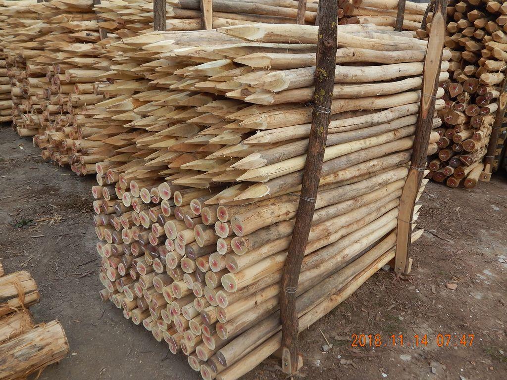 Akazienpfähle Akazienpfähle