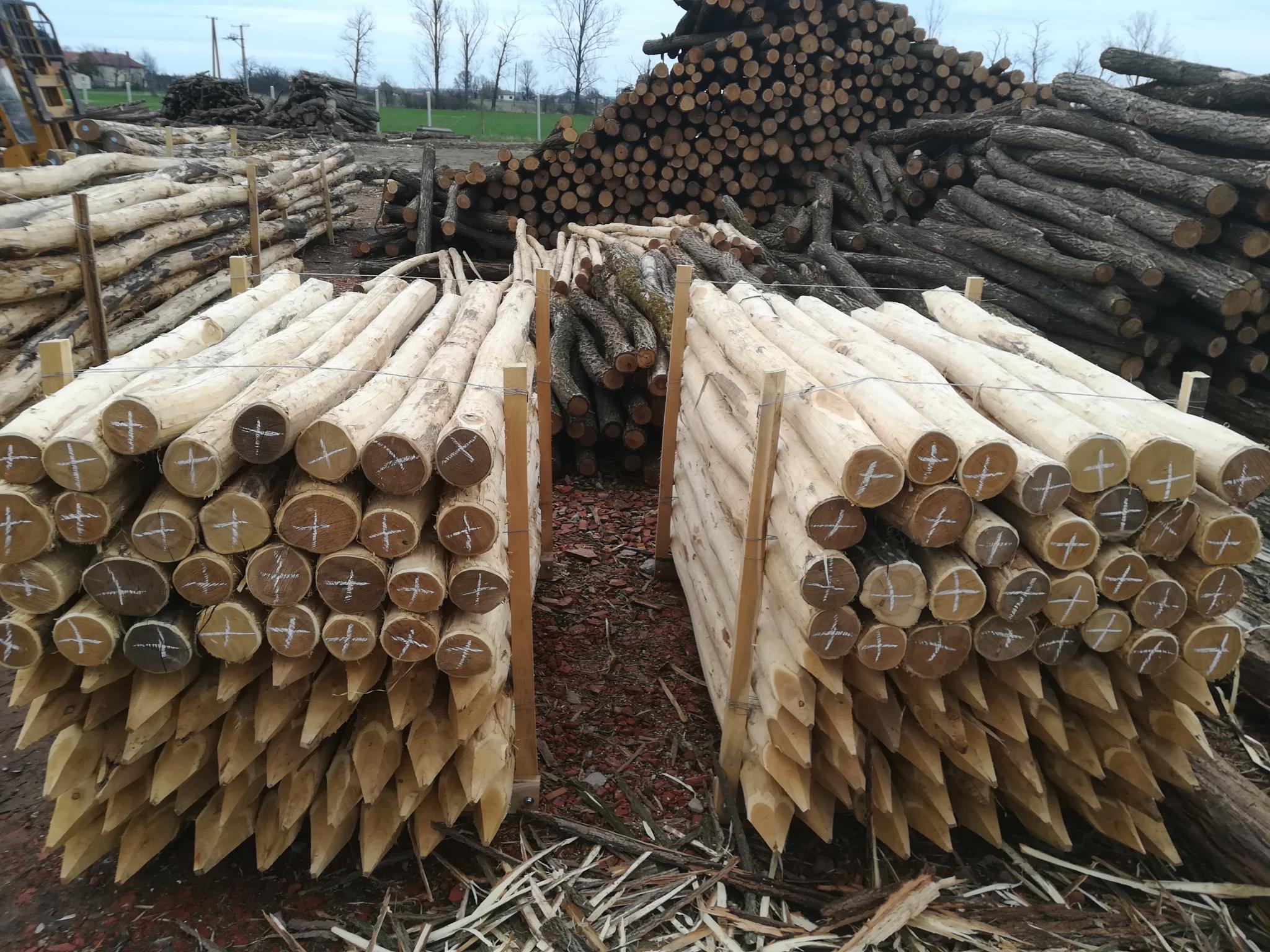 Akazienpfähle Akazienpfähle