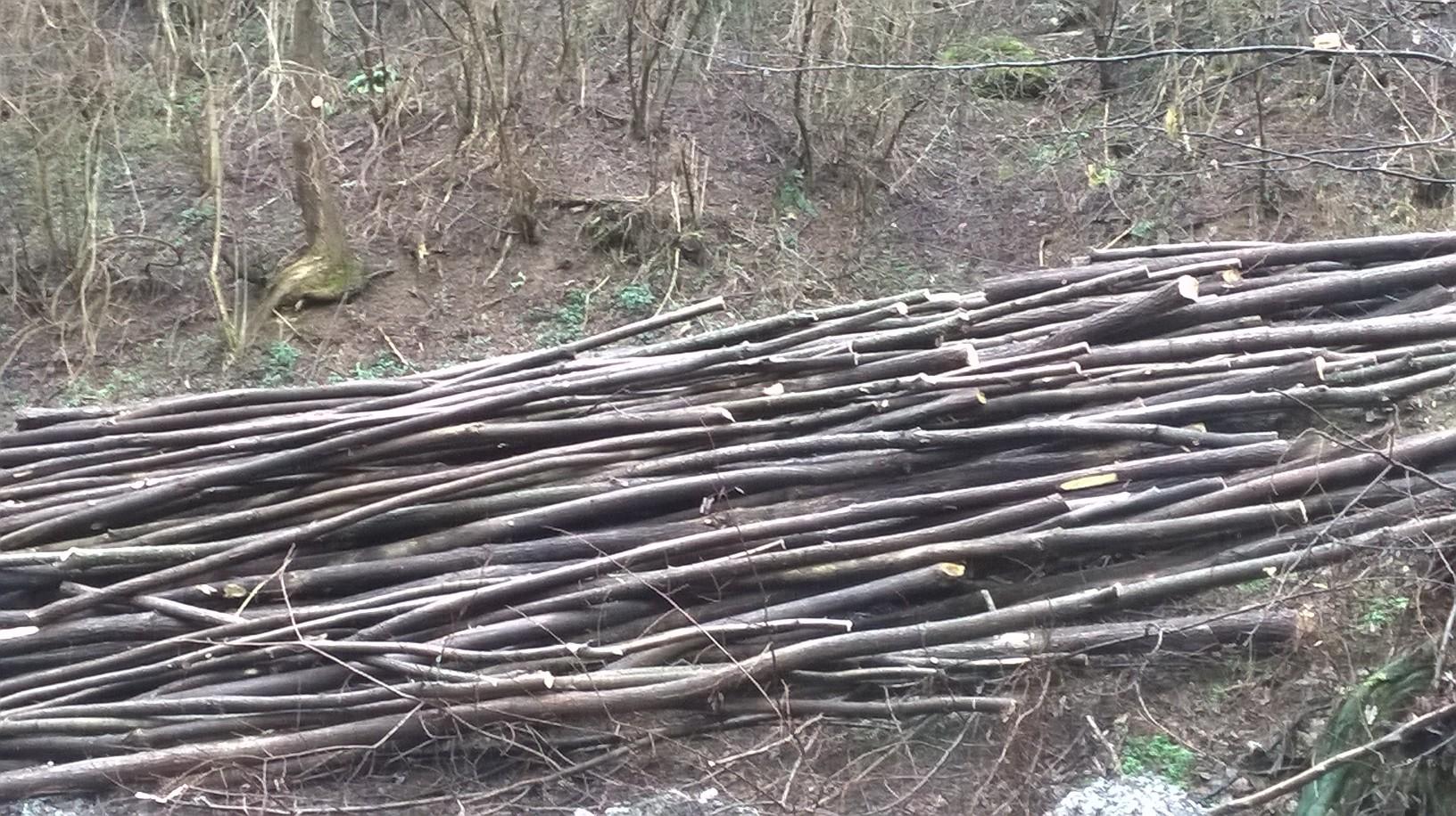 Akazienpfähle Akazienpfähle