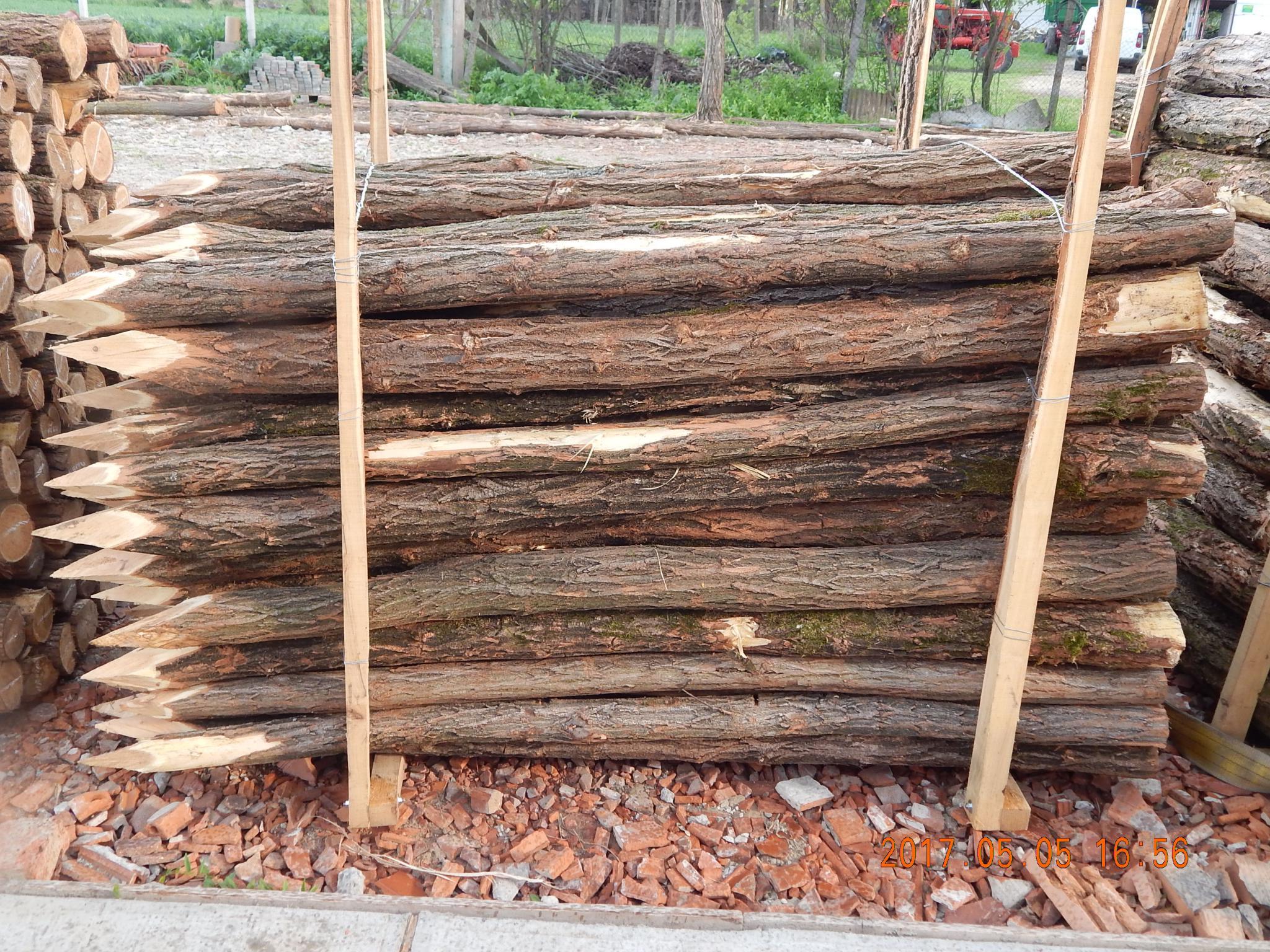 Akazienpfähle Akazienpfähle