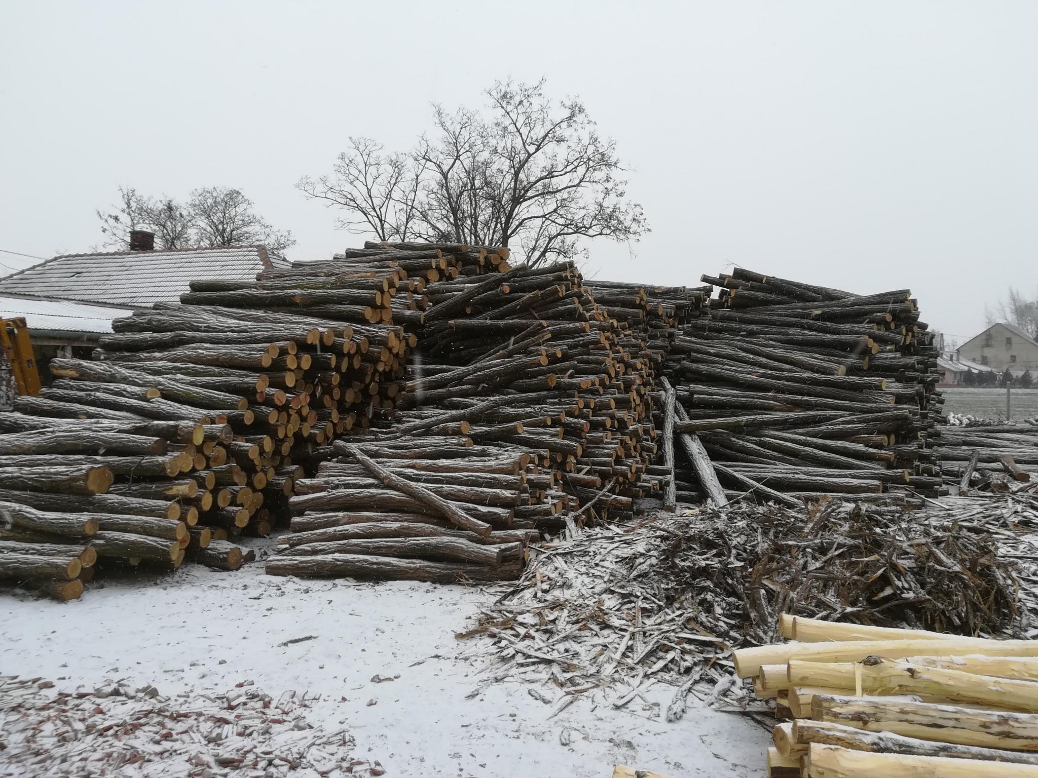 Akazienpfähle Akazienpfähle