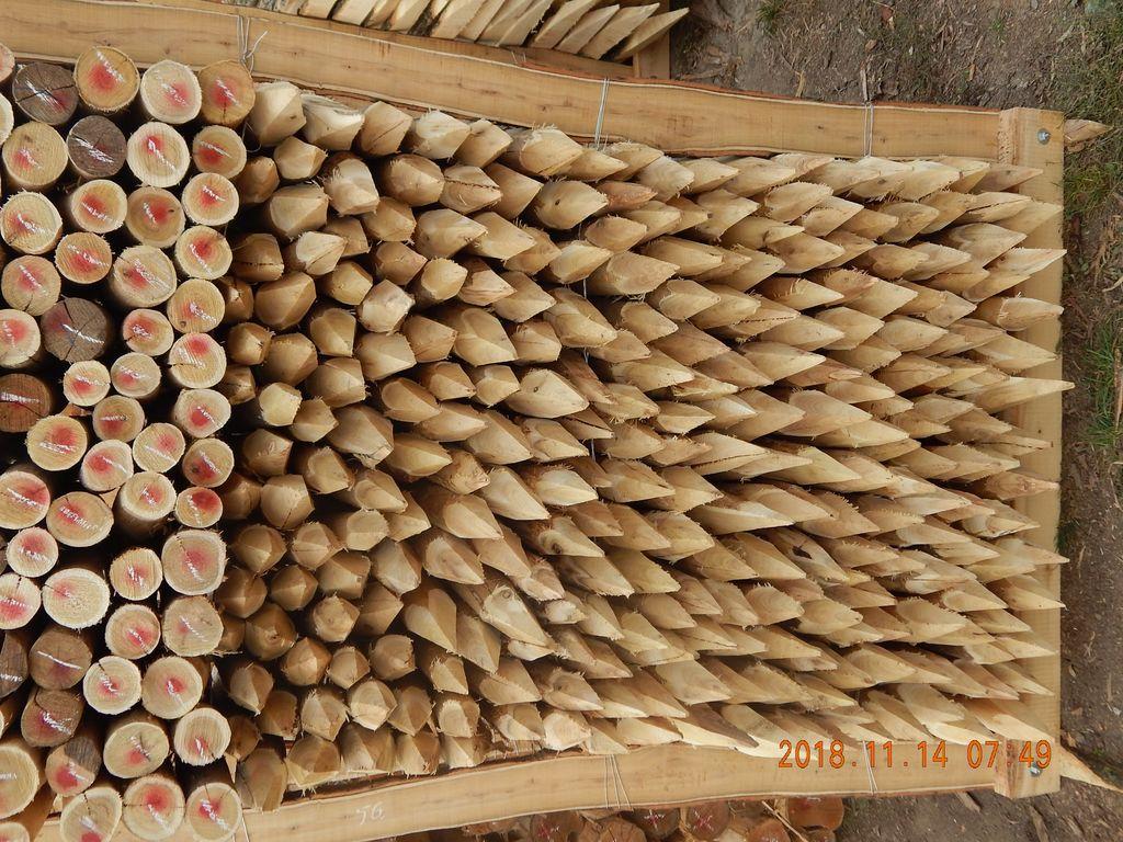 Akazienpfähle Akazienpfähle