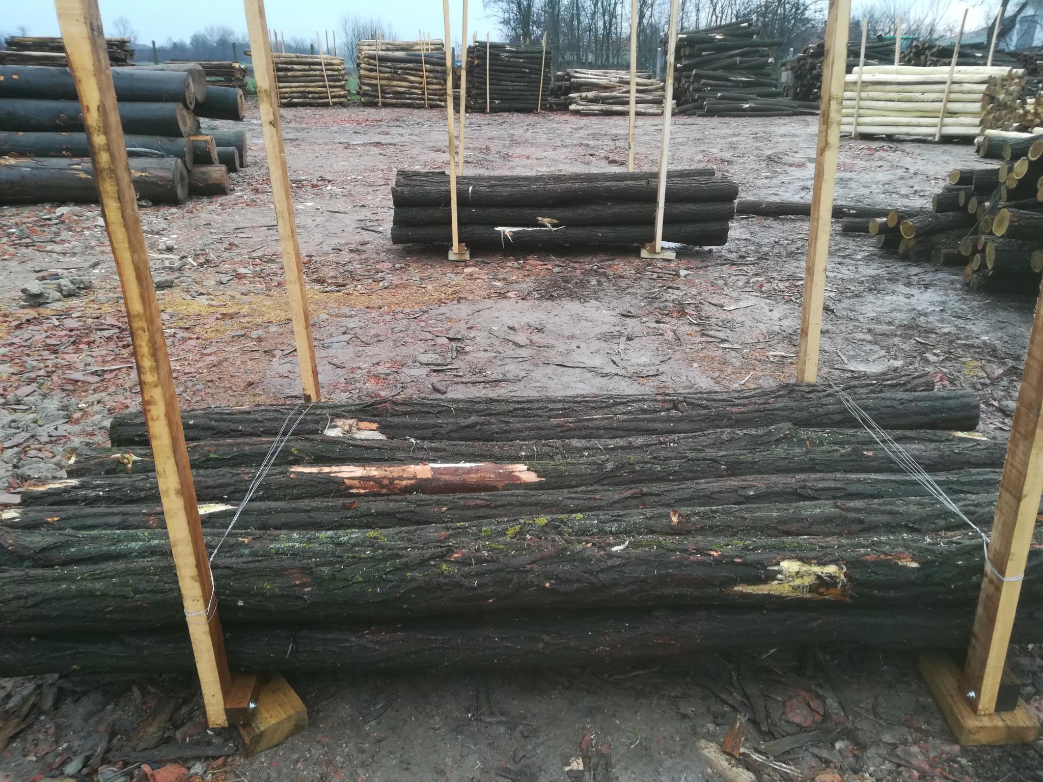 Akazienpfähle Akazienpfähle