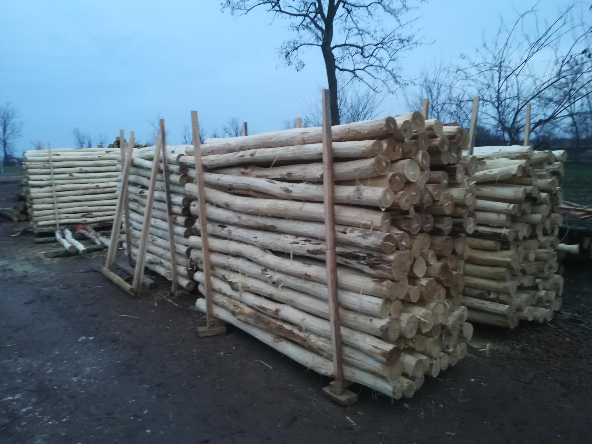 Akazienpfähle Akazienpfähle