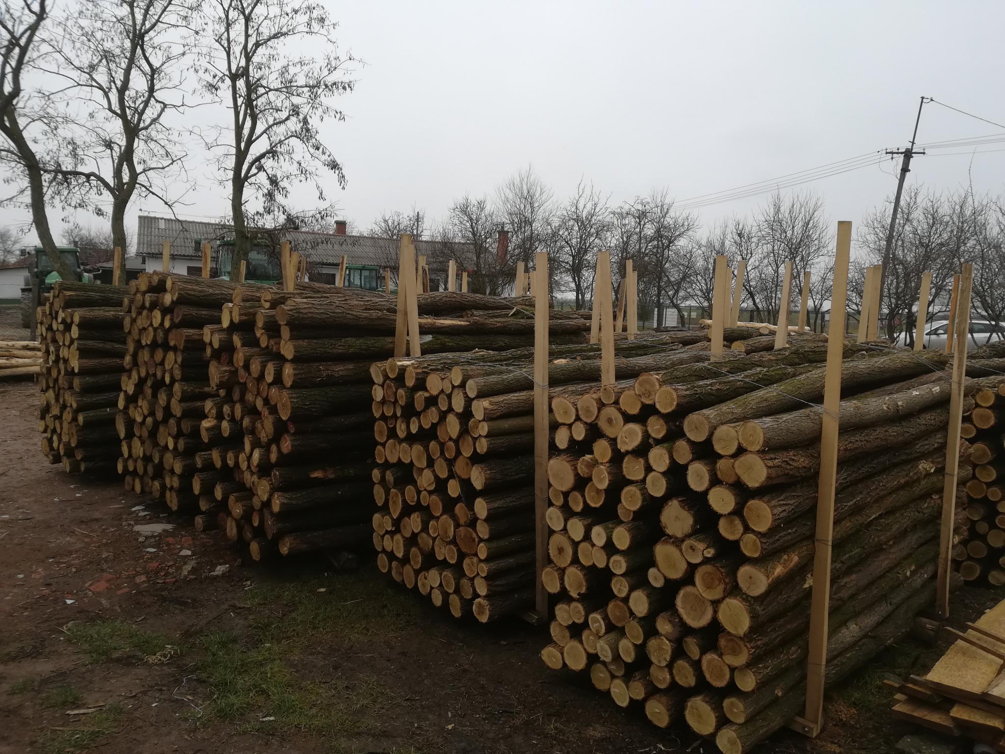 Akazienpfähle Akazienpfähle