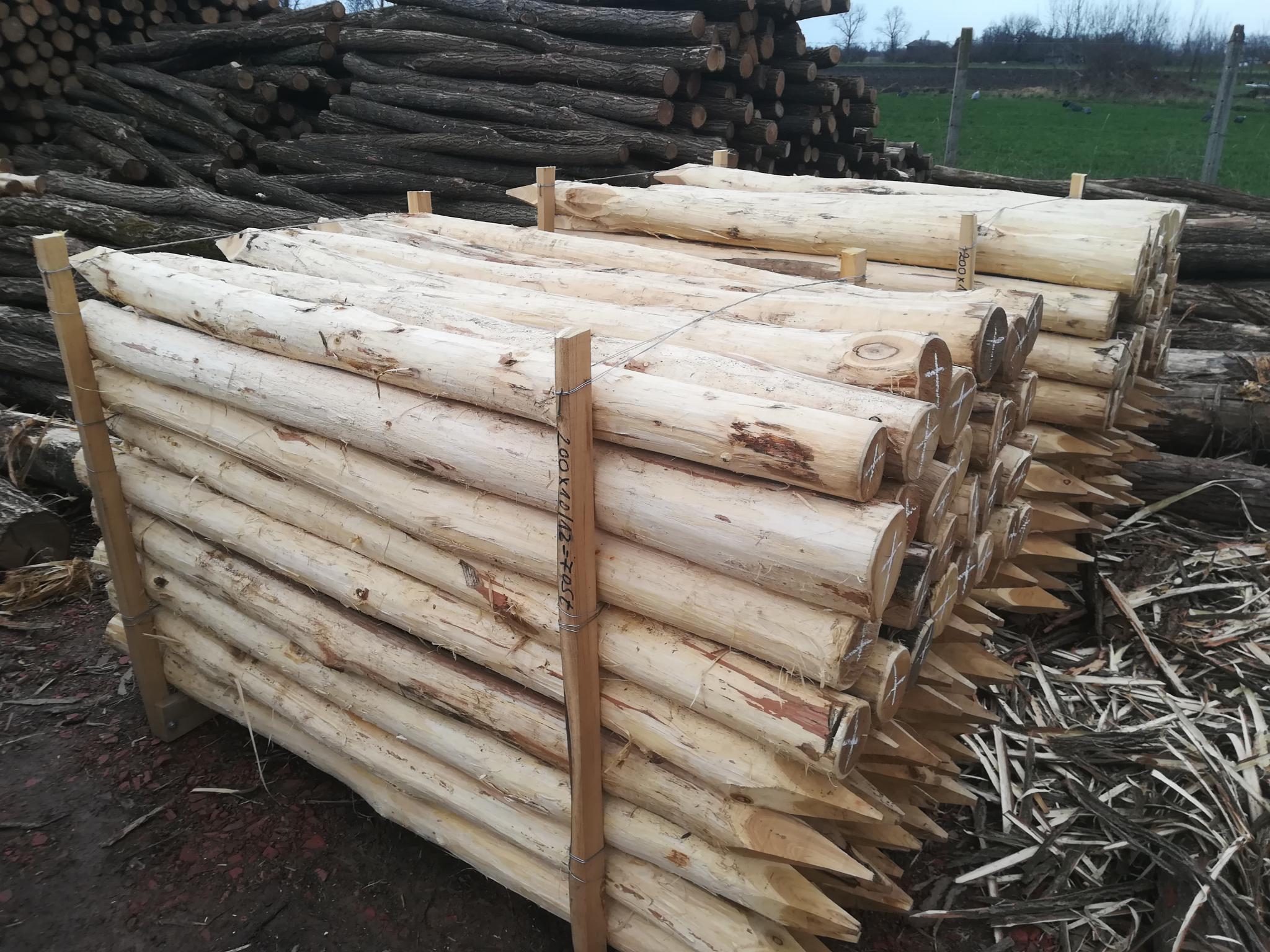 Akazienpfähle Akazienpfähle