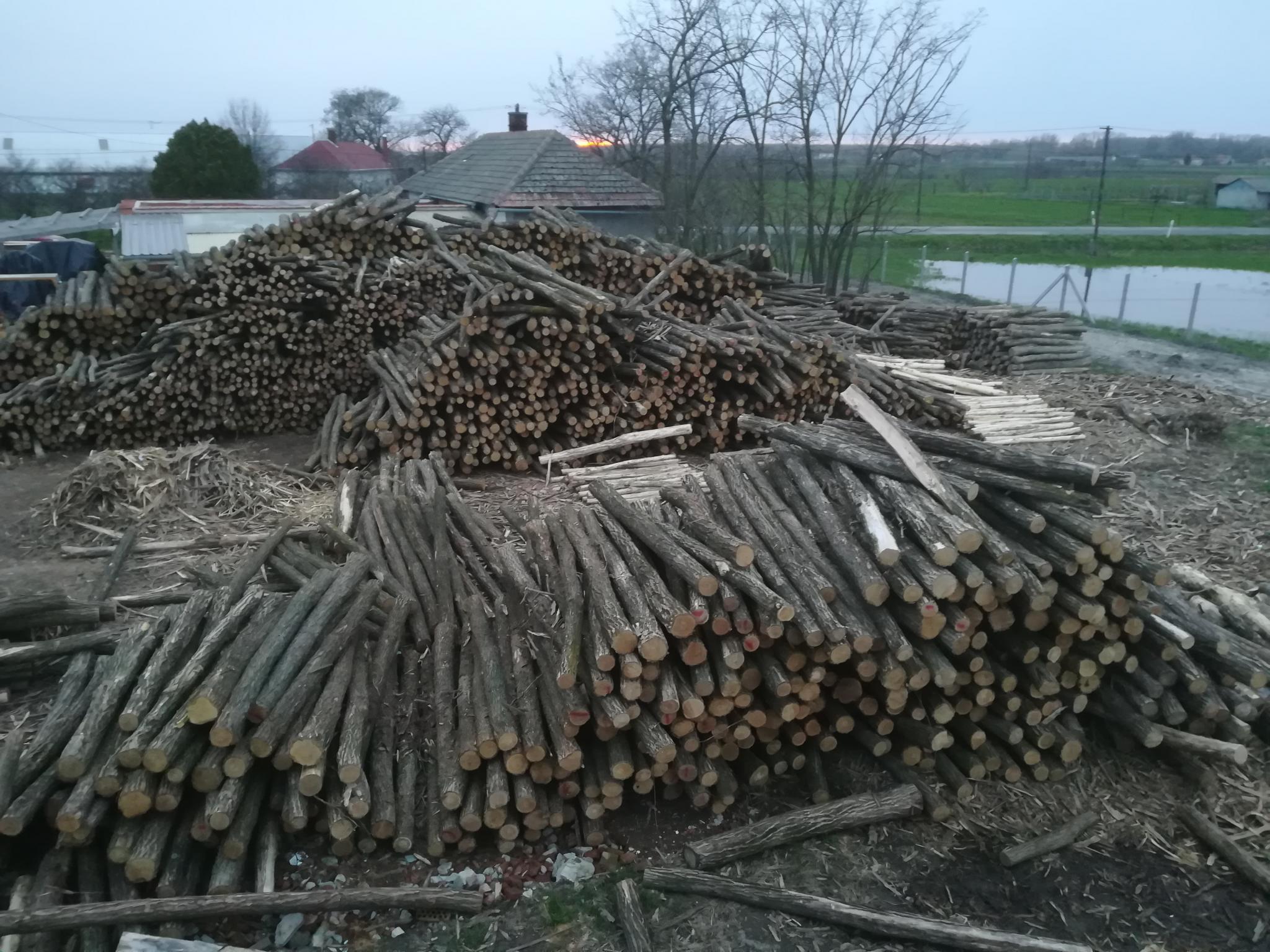 Akazienpfähle Akazienpfähle