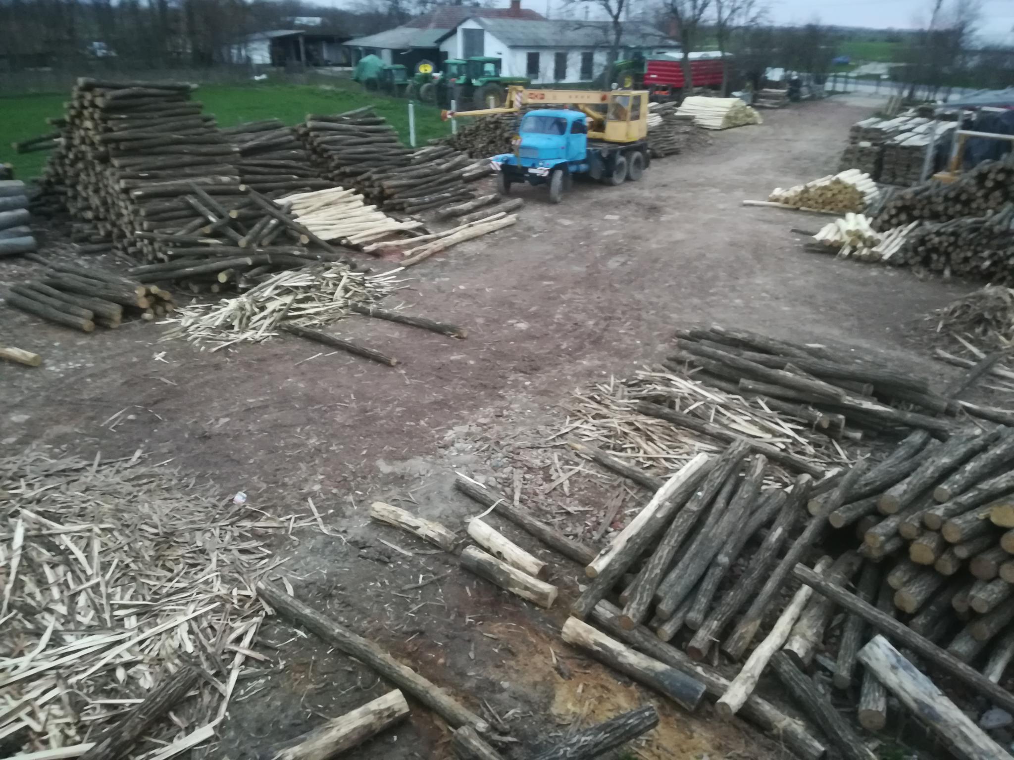 Akazienpfähle Akazienpfähle