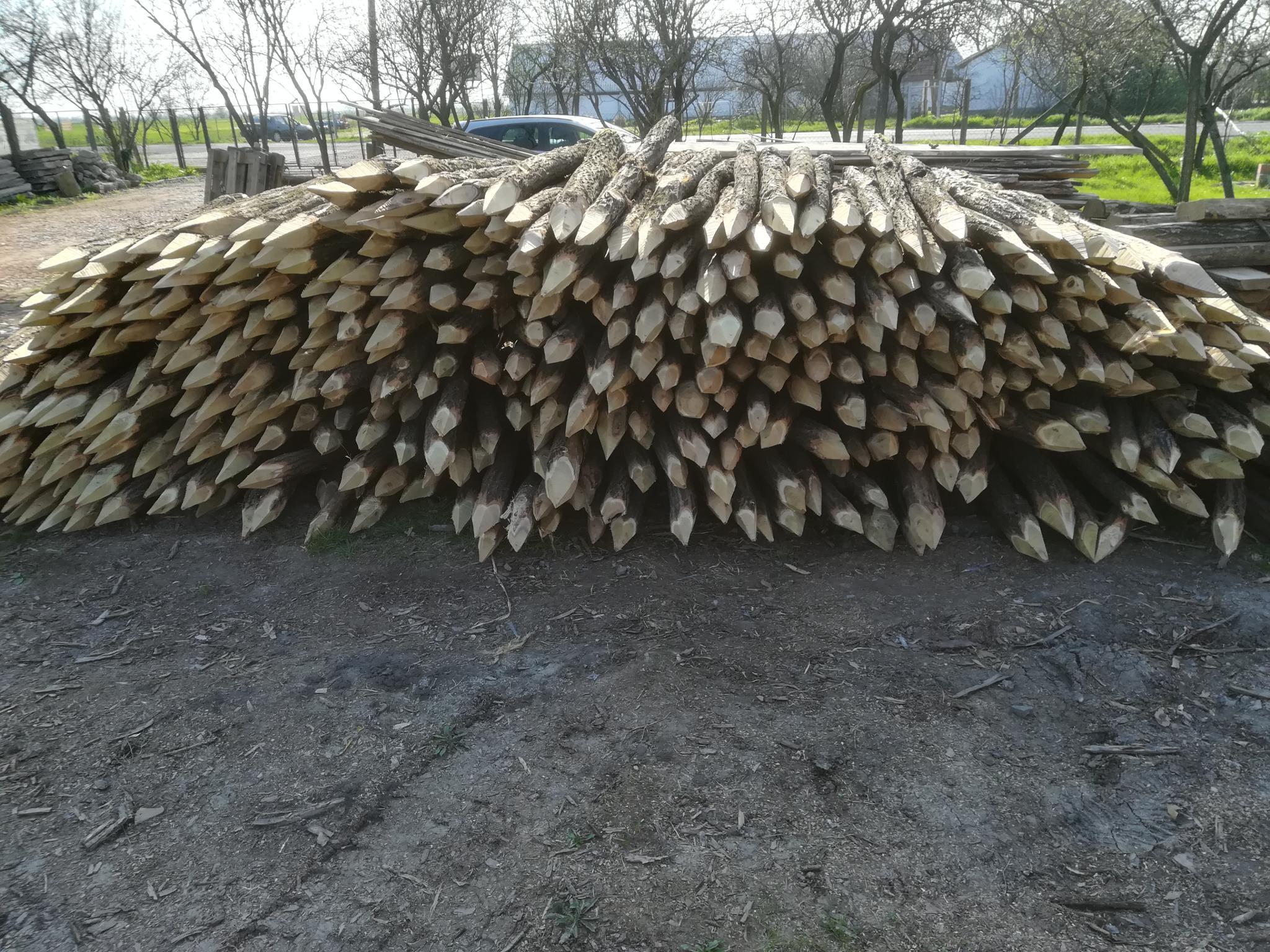 Akazienpfähle Akazienpfähle