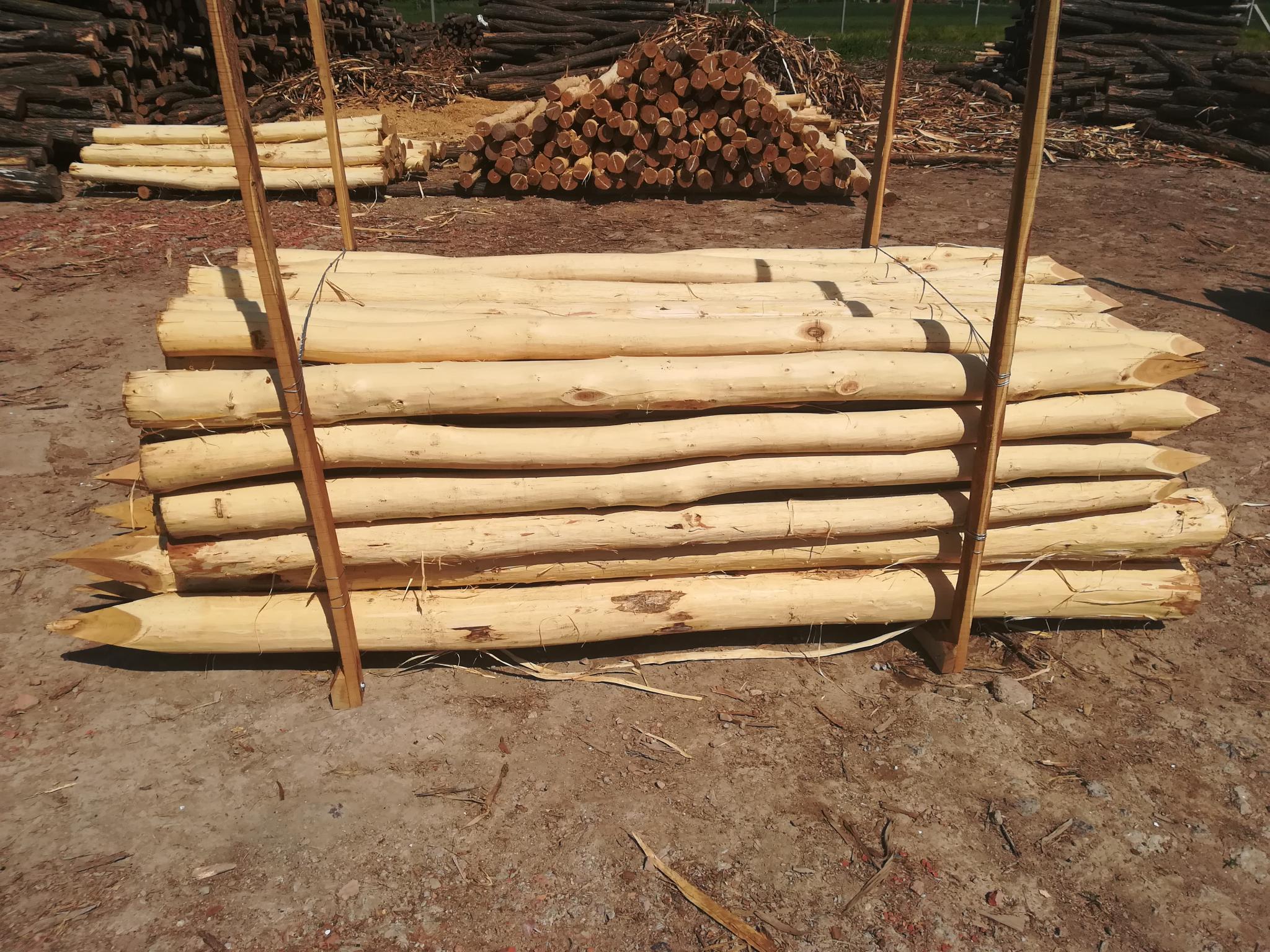 Akazienpfähle Akazienpfähle