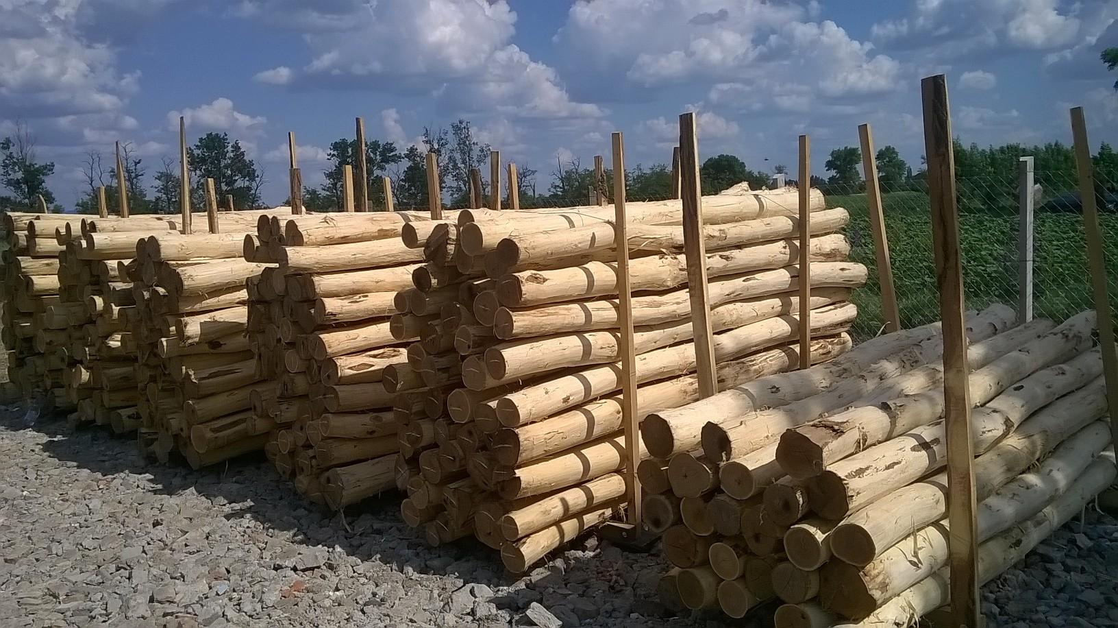 Akazienpfähle Akazienpfähle