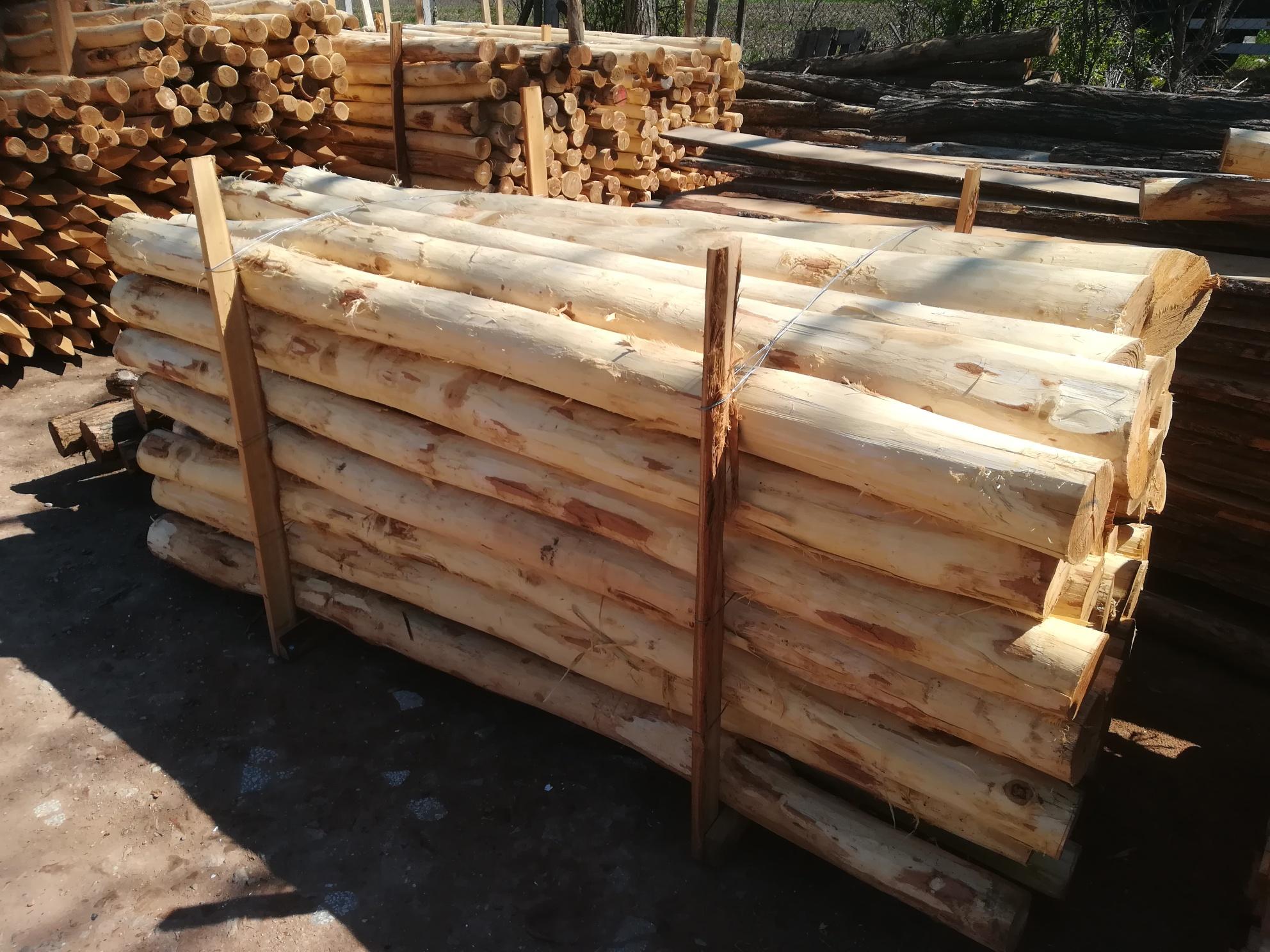 Akazienpfähle Akazienpfähle