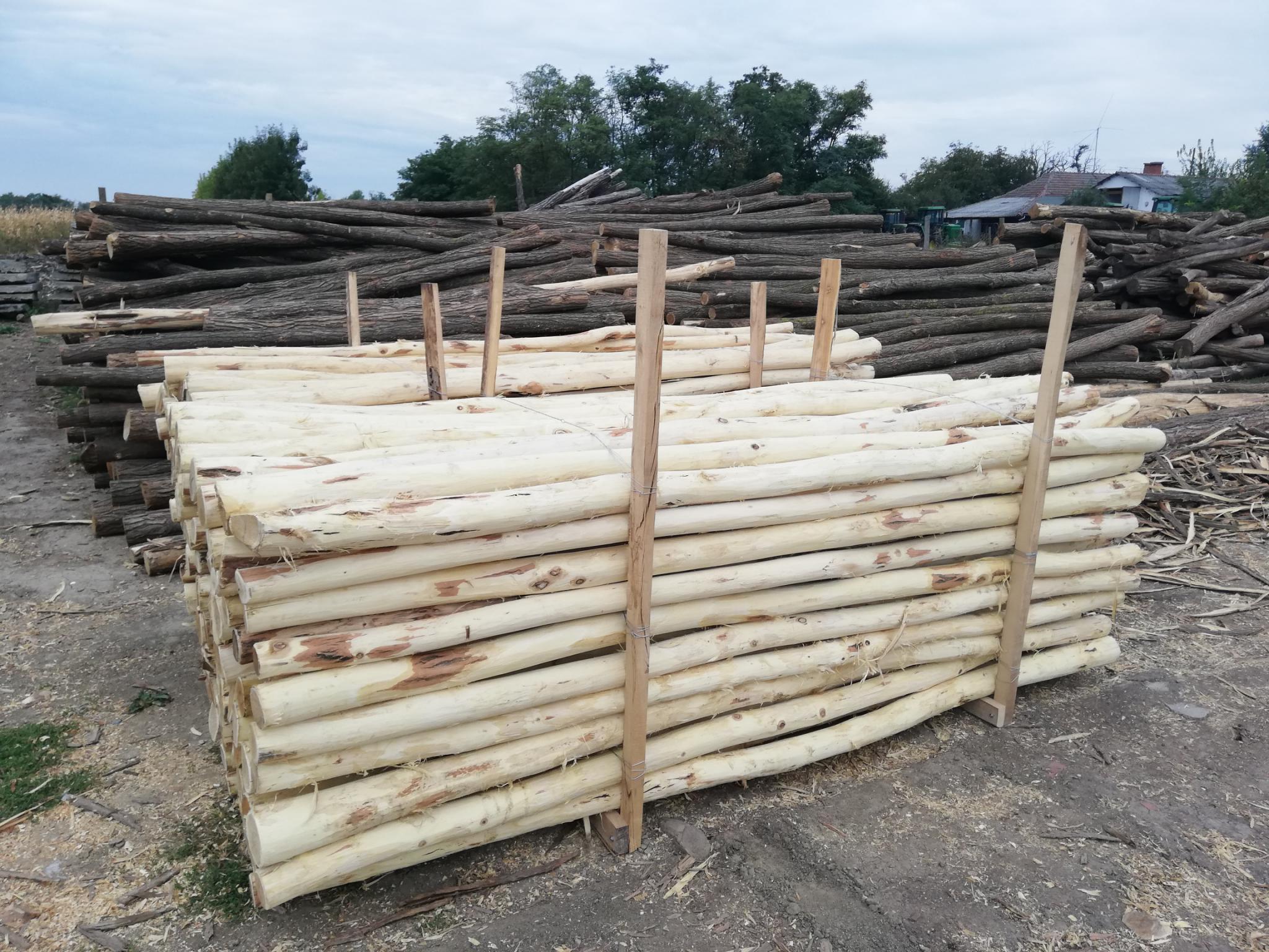 Akazienpfähle Akazienpfähle