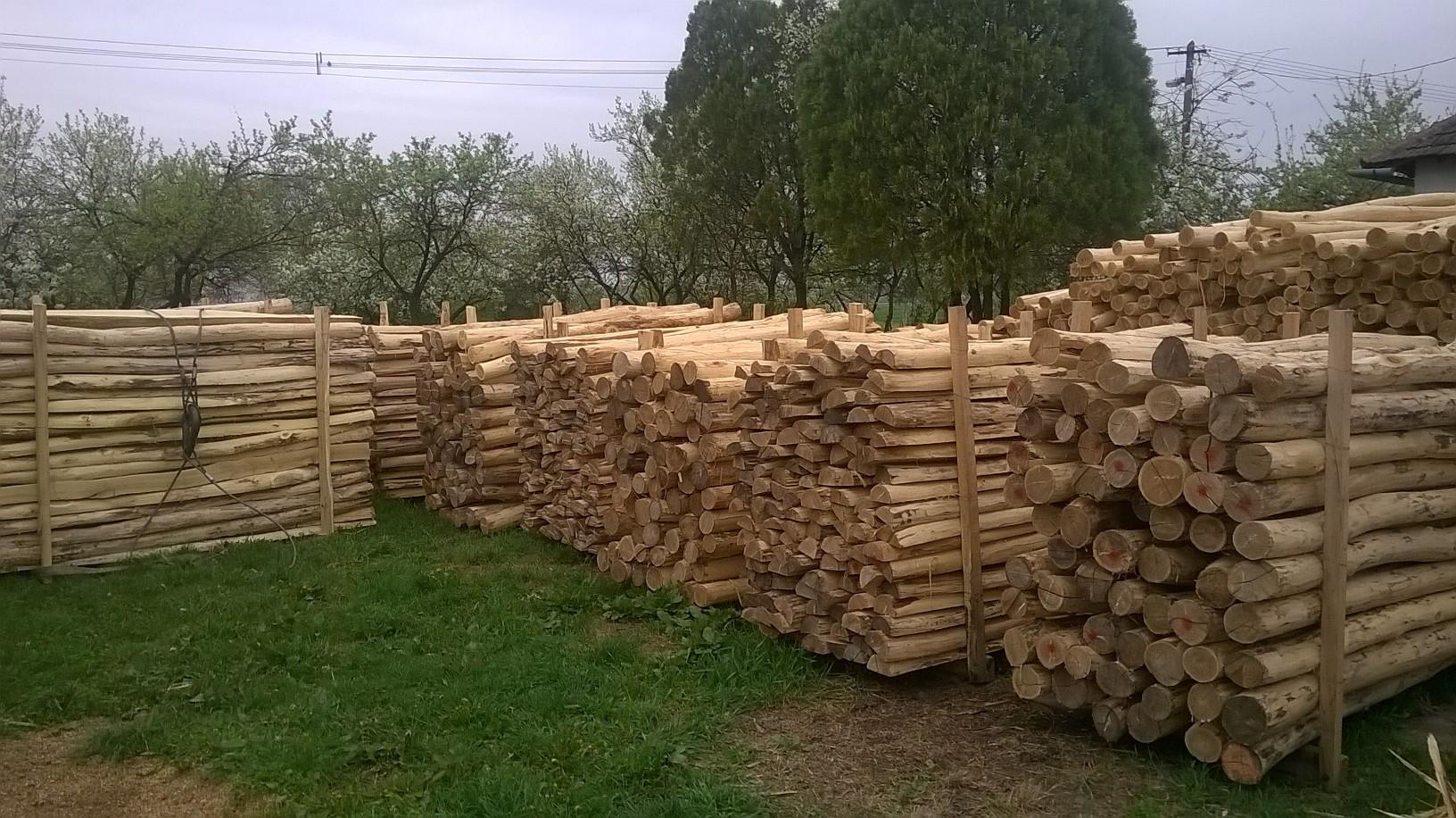 Akazienpfähle Akazienpfähle