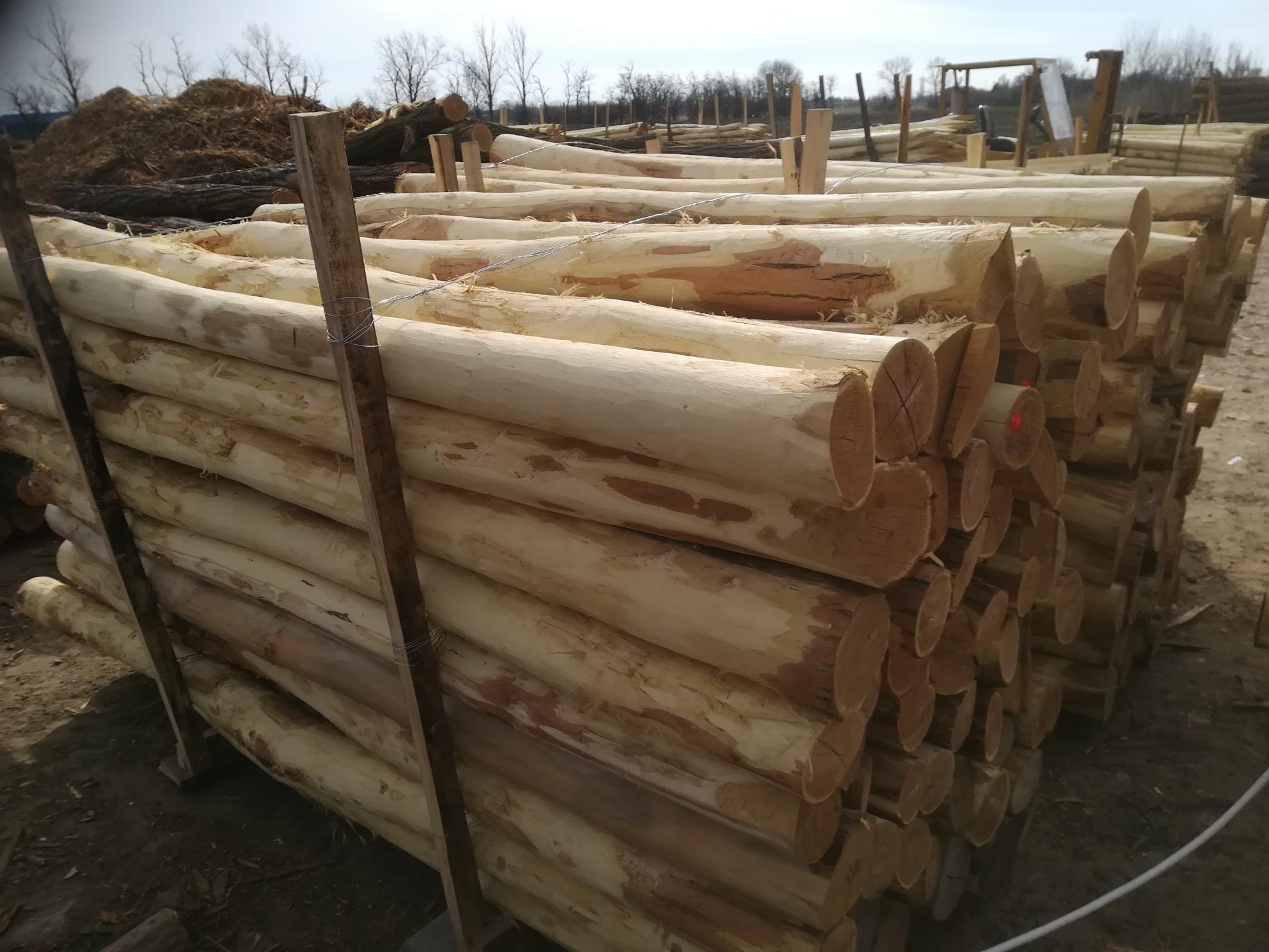 Akazienpfähle Akazienpfähle