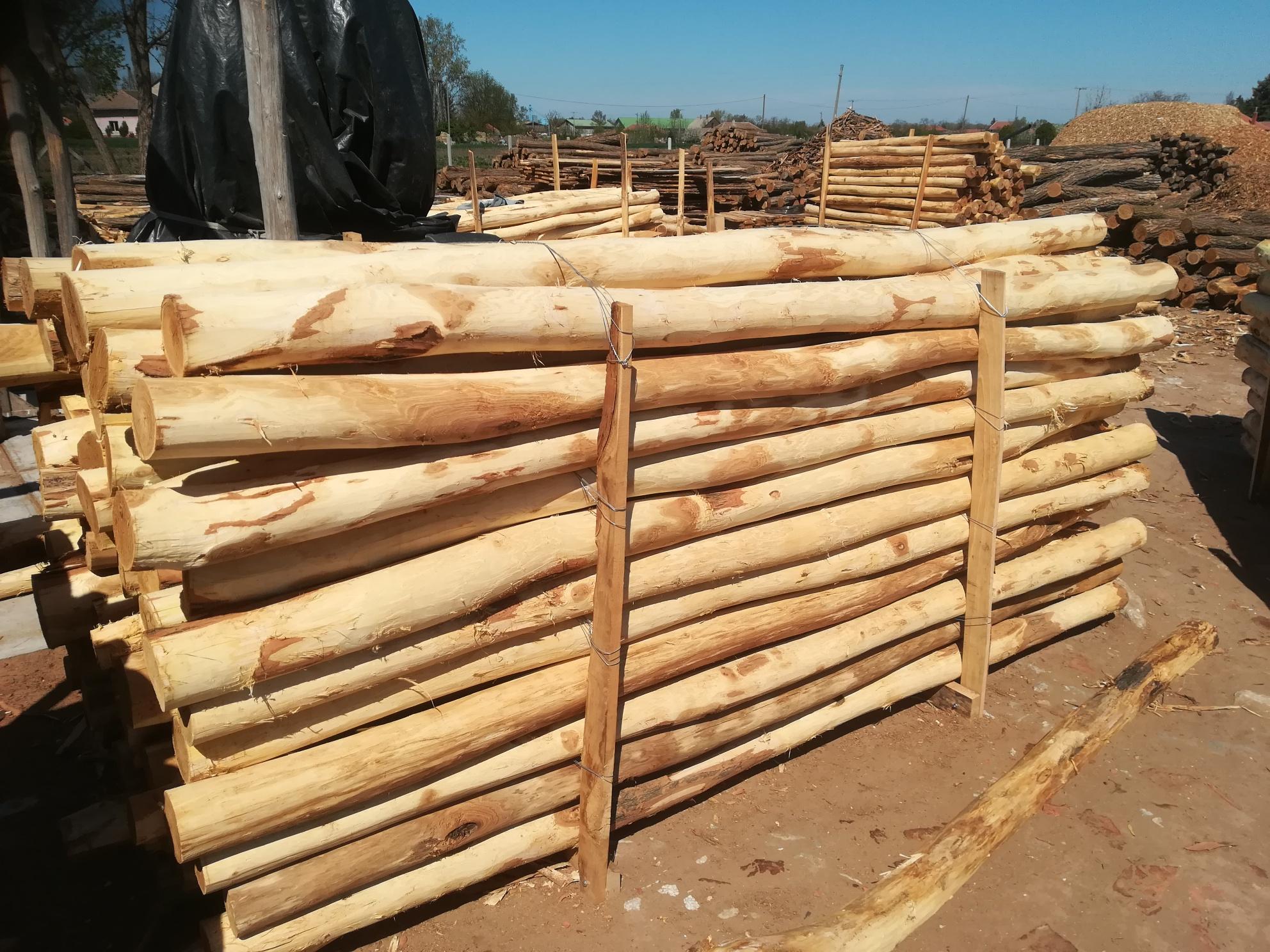 Akazienpfähle Akazienpfähle