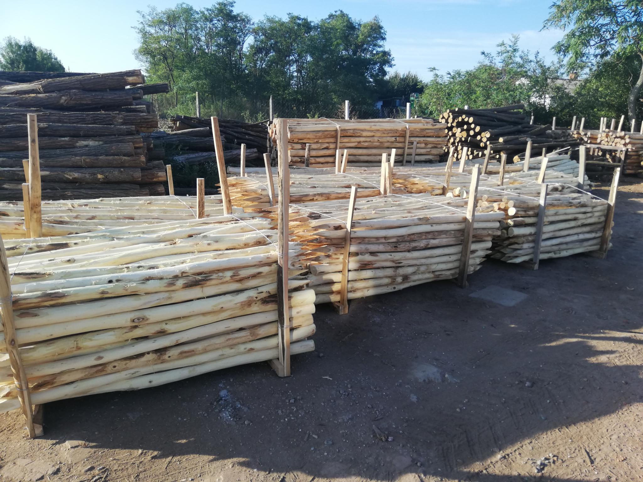 Akazienpfähle Akazienpfähle