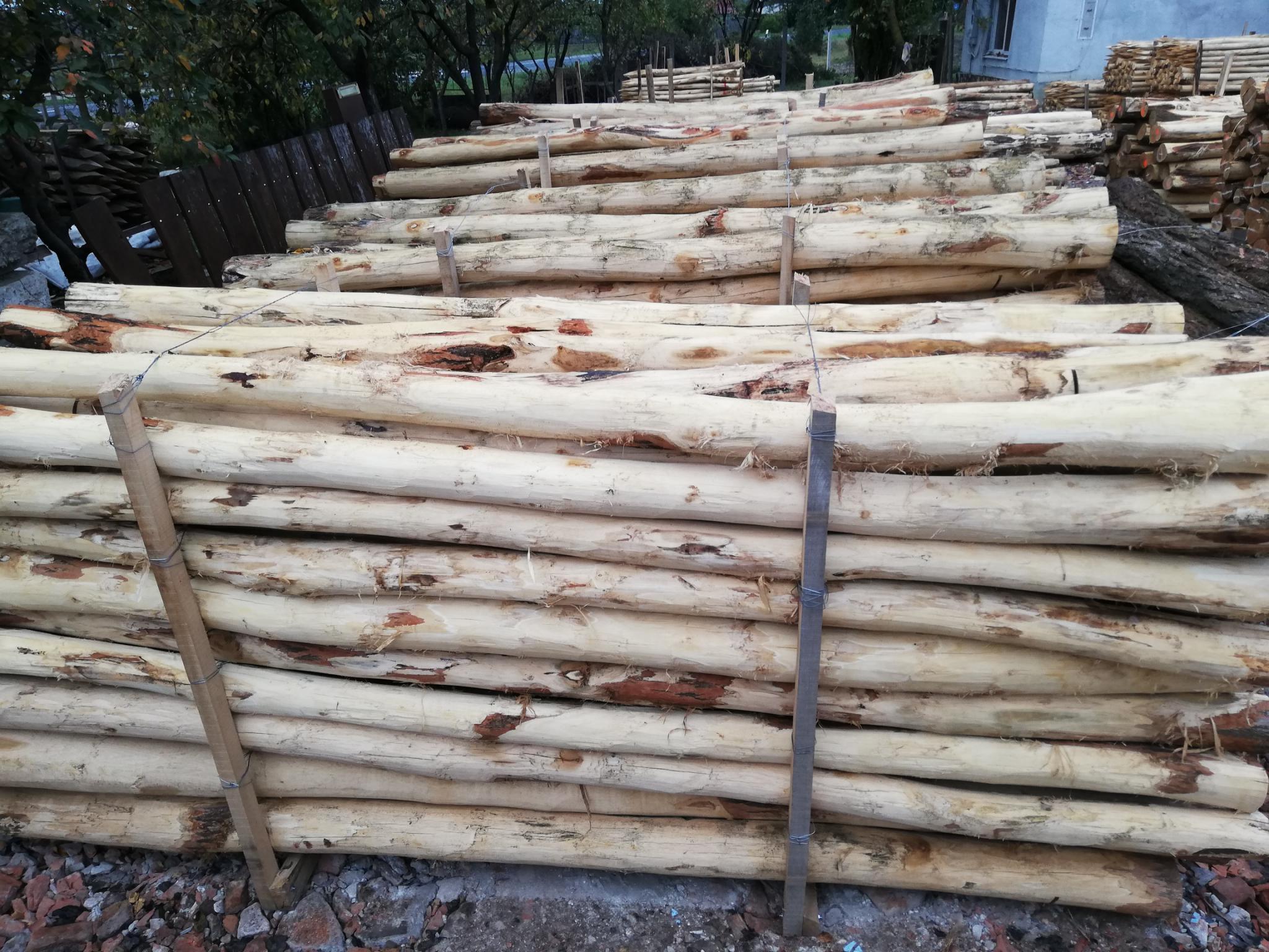 Akazienpfähle Akazienpfähle