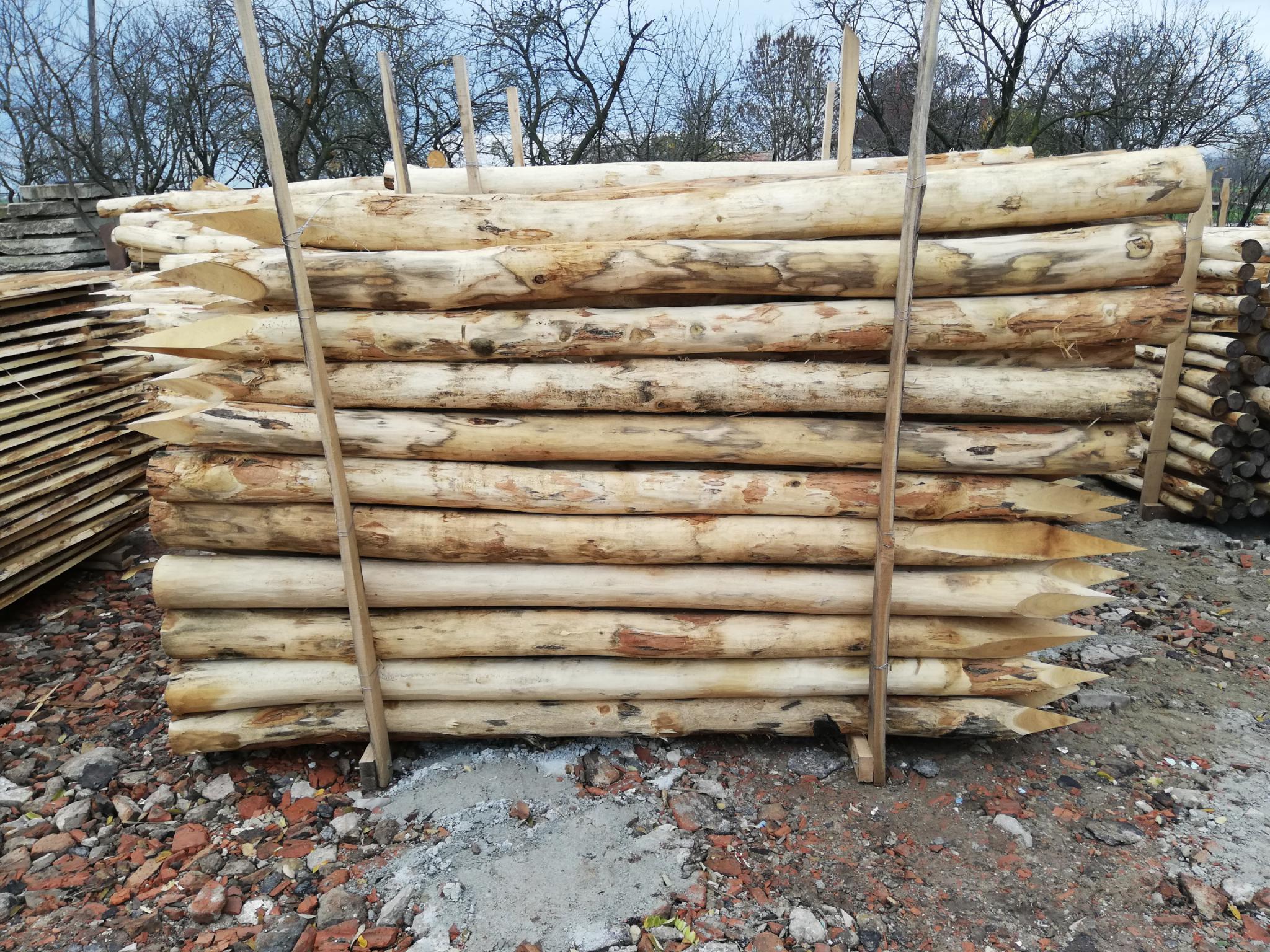 Akazienpfähle Akazienpfähle