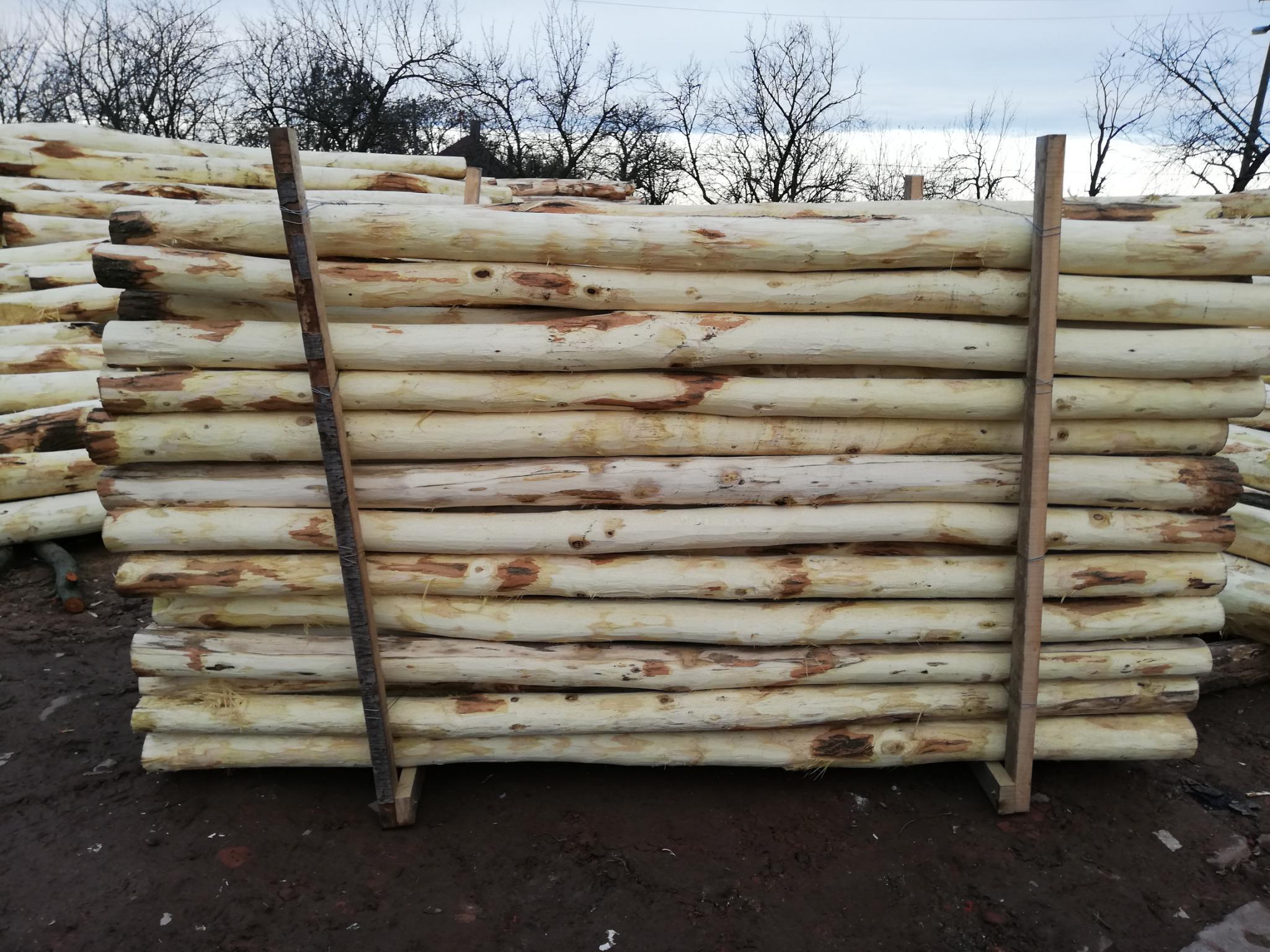 Akazienpfähle Akazienpfähle