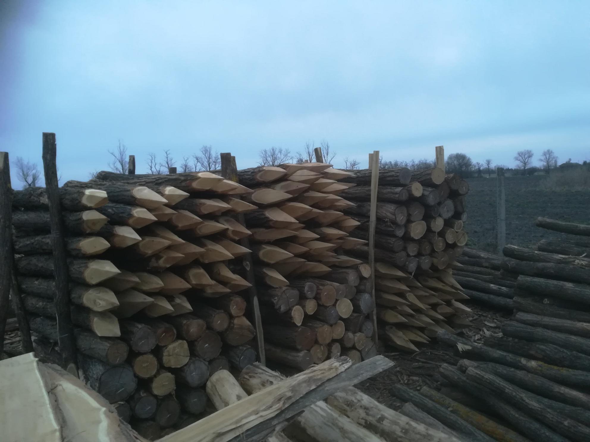 Akazienpfähle Akazienpfähle