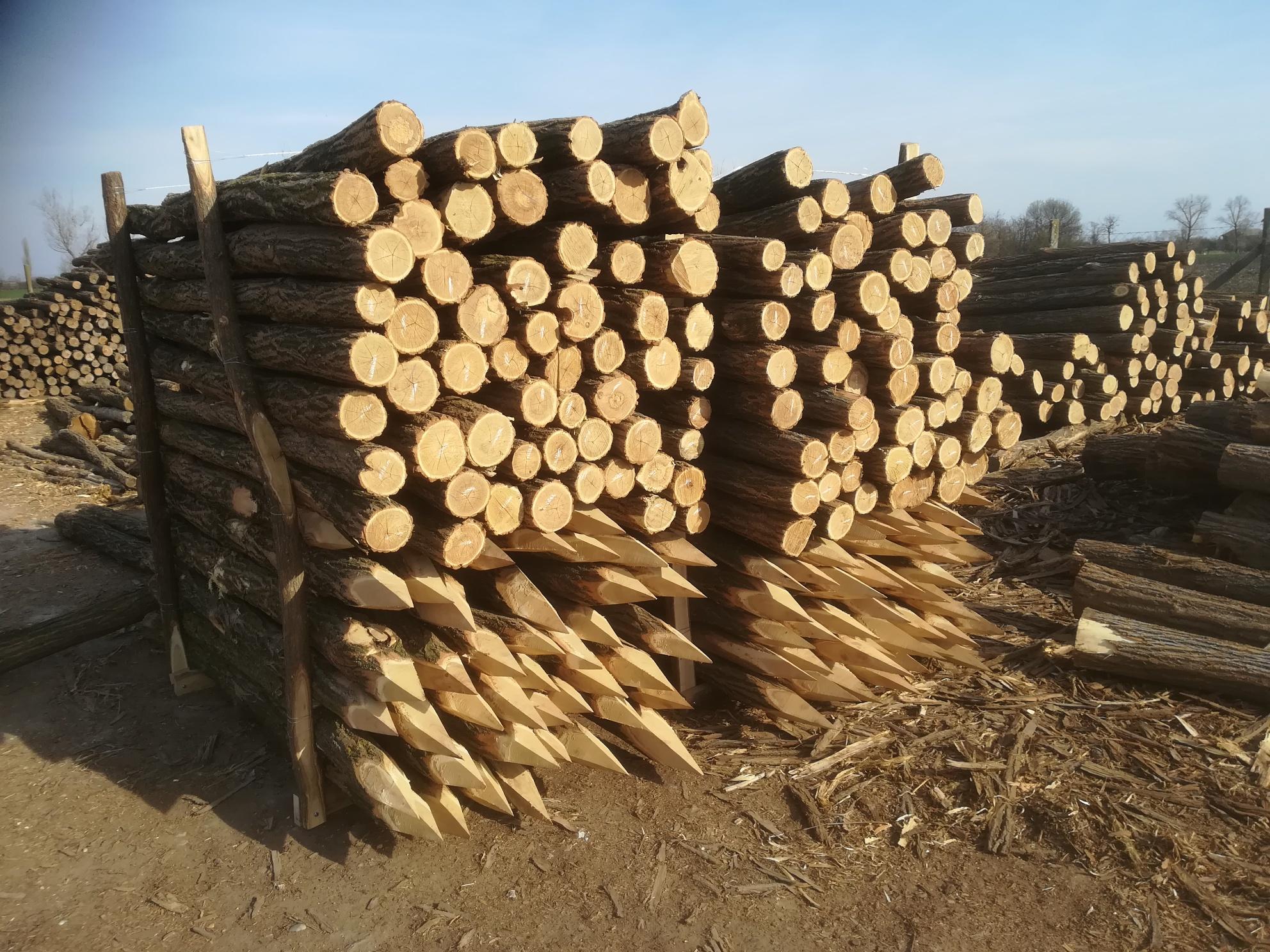 Akazienpfähle Akazienpfähle