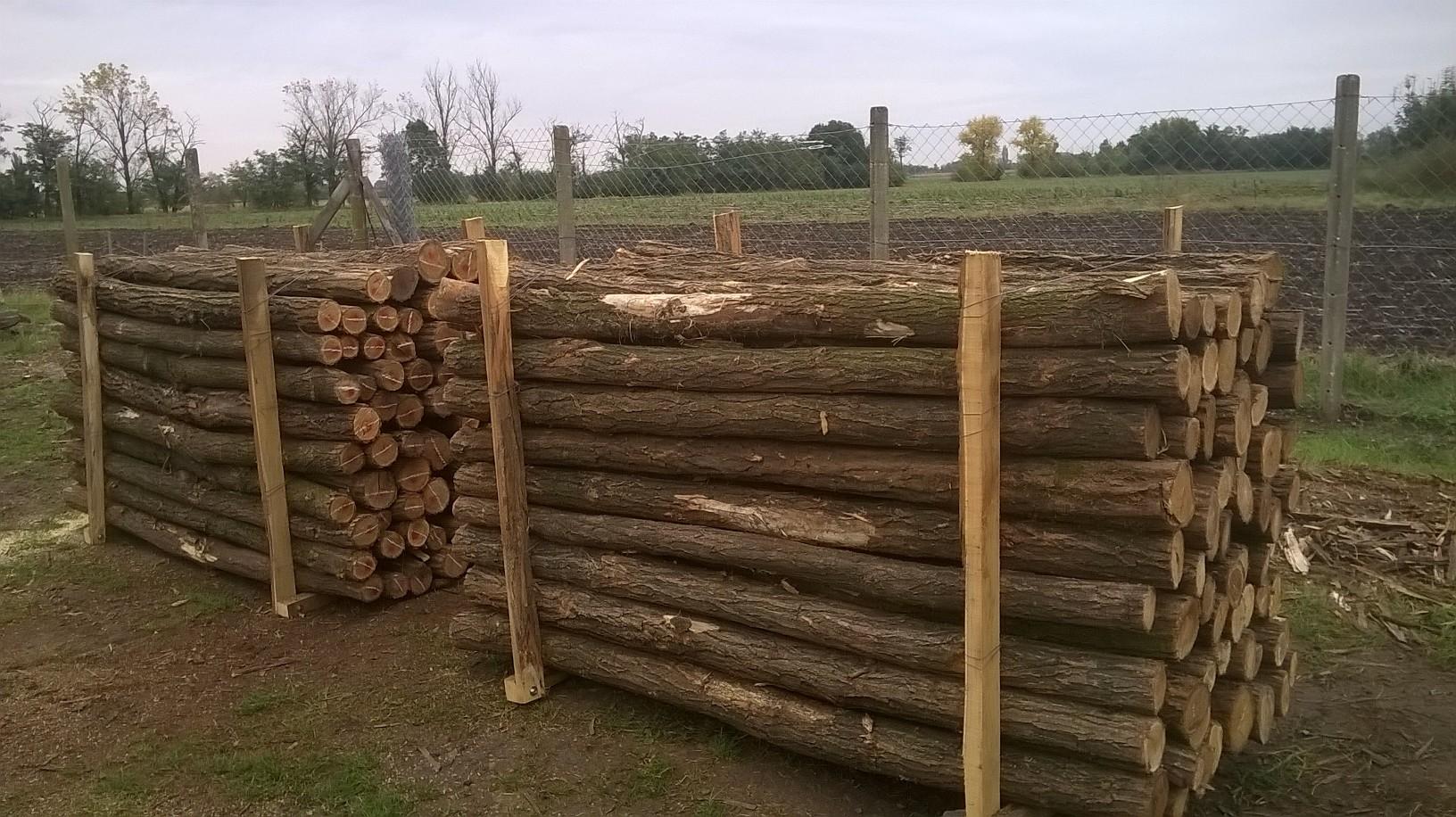 Akazienpfähle Akazienpfähle