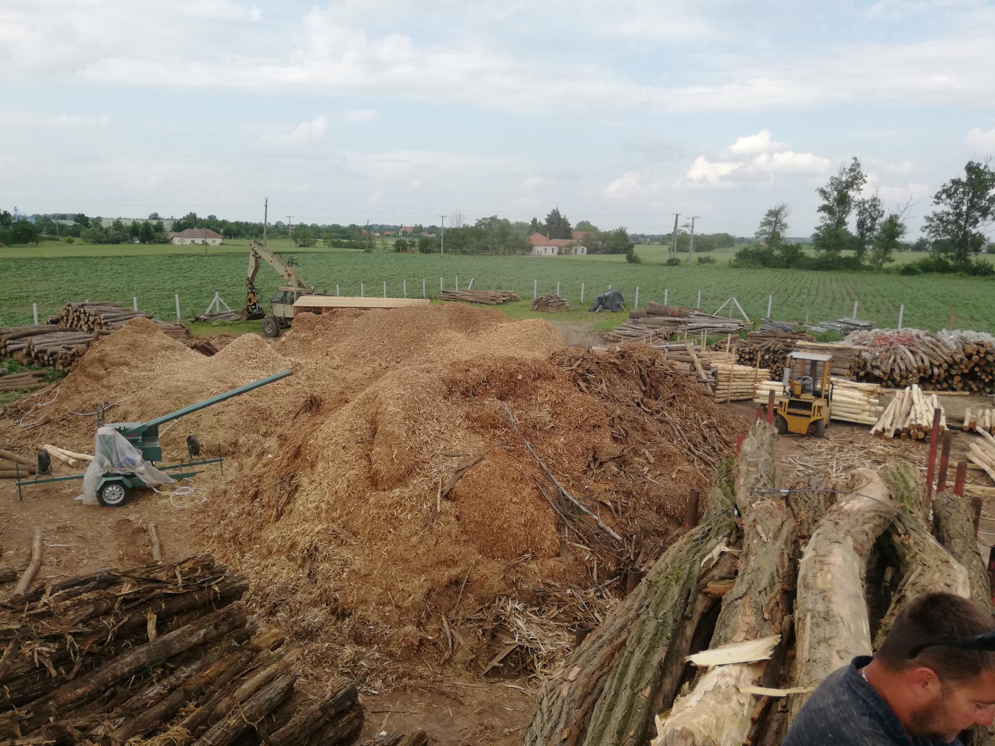 Akazienpfähle Akazienpfähle