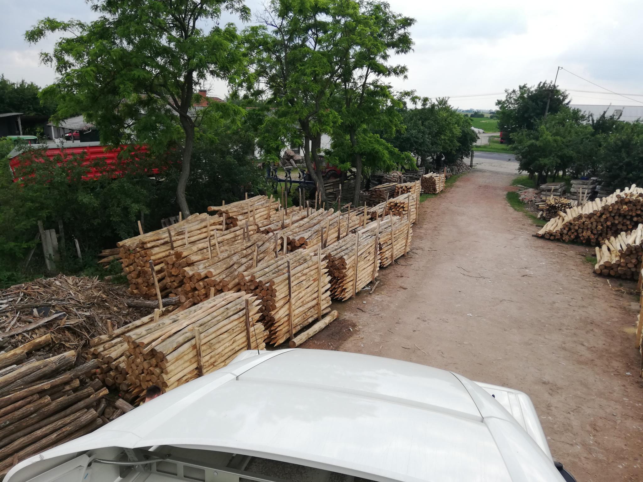 Akazienpfähle Akazienpfähle