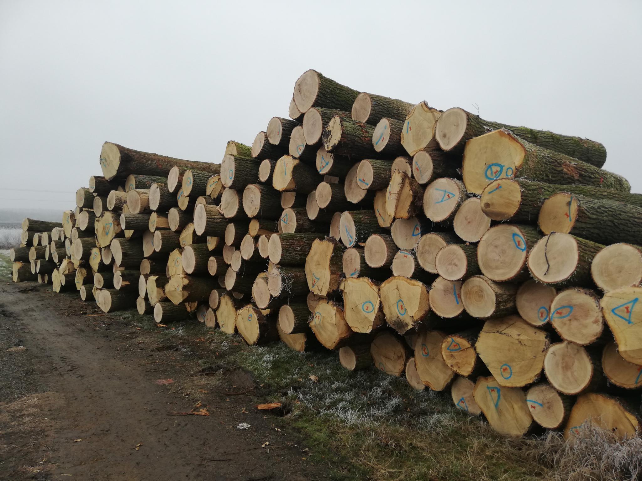 Sonstige Produkte aus Akazienholz